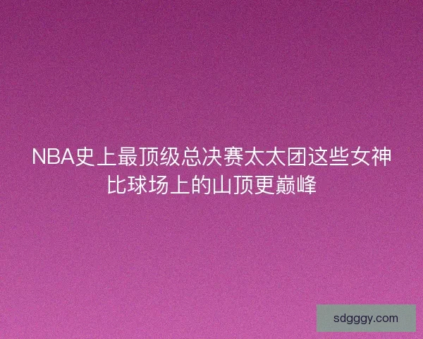 NBA史上最顶级总决赛太太团这些女神比球场上的山顶更巅峰