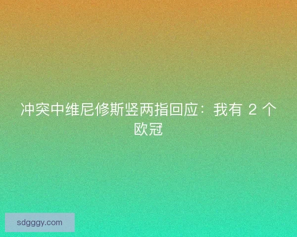 冲突中维尼修斯竖两指回应：我有 2 个欧冠