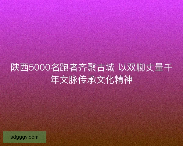 陕西5000名跑者齐聚古城 以双脚丈量千年文脉传承文化精神 陕西5000名跑者齐聚古城 以双脚丈量千年文脉传承文化精神