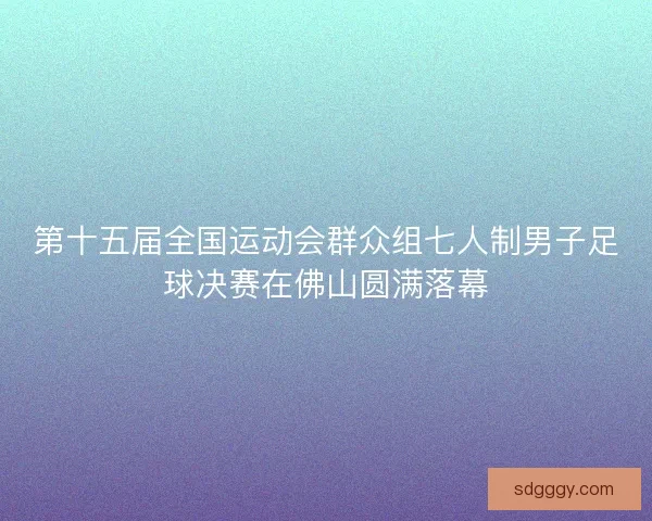 第十五届全国运动会群众组七人制男子足球决赛在佛山圆满落幕 第十五届全国运动会群众组七人制男子足球决赛在佛山圆满落幕