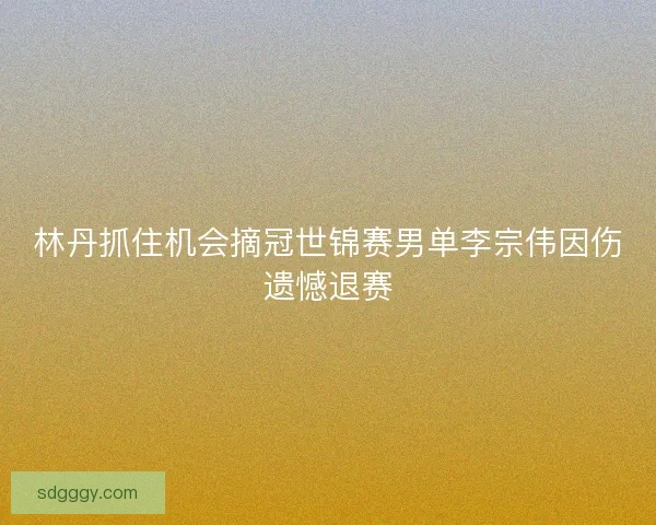 林丹抓住机会摘冠世锦赛男单李宗伟因伤遗憾退赛